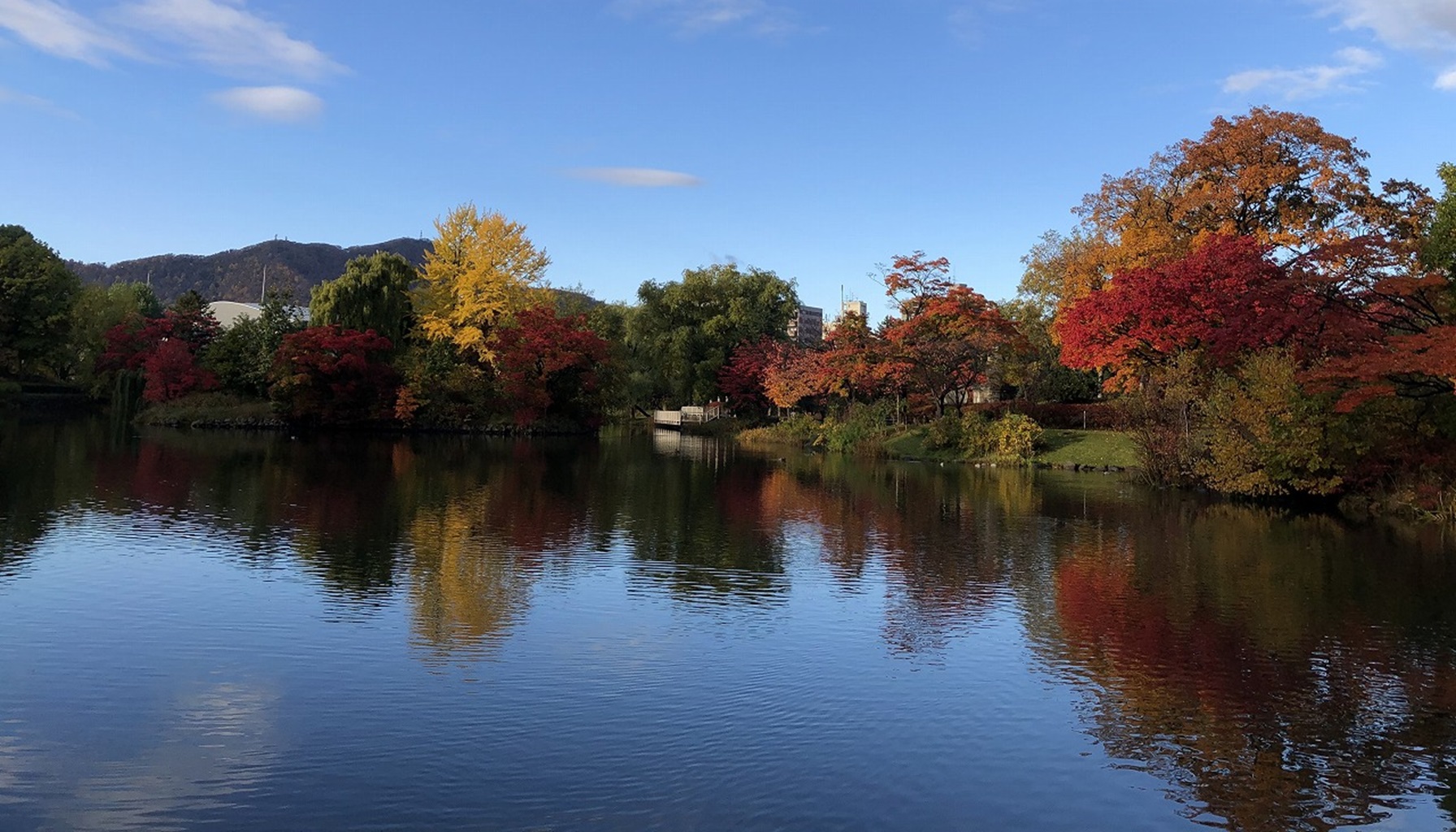 公園画像
